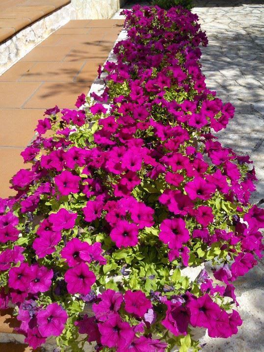 מונופולי Albachiara Bed & Breakfast מראה חיצוני תמונה