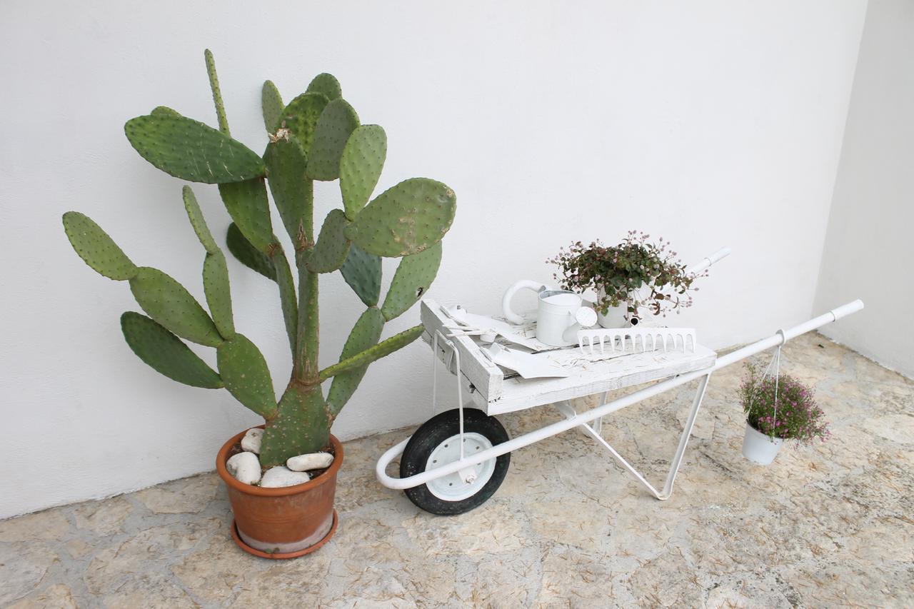 מונופולי Albachiara Bed & Breakfast מראה חיצוני תמונה
